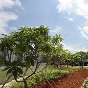 Hung Hom Promenade 3