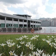 Hung Hom Promenade 4