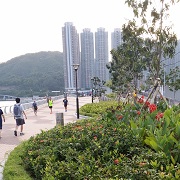 將軍澳海濱公園 1